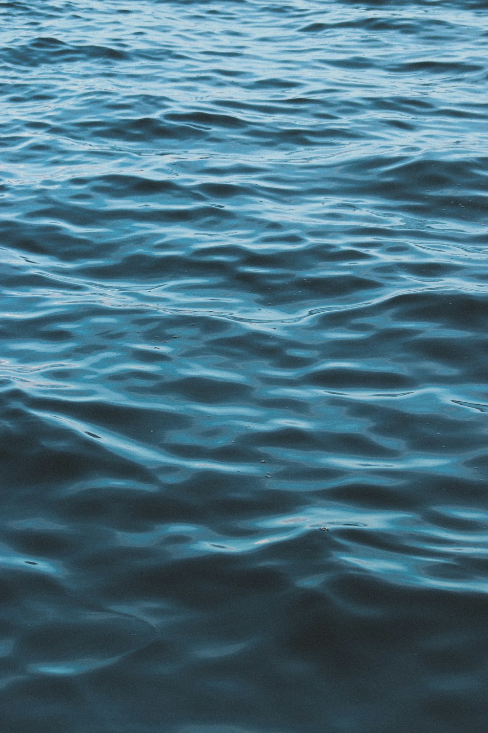 a body of water with ripples