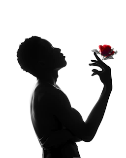 A shadowed silhouette of a mysterious figure holding a single red rose against a twilight sky.