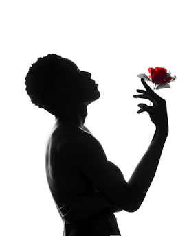 A shadowed silhouette of a mysterious figure holding a single red rose against a twilight sky.