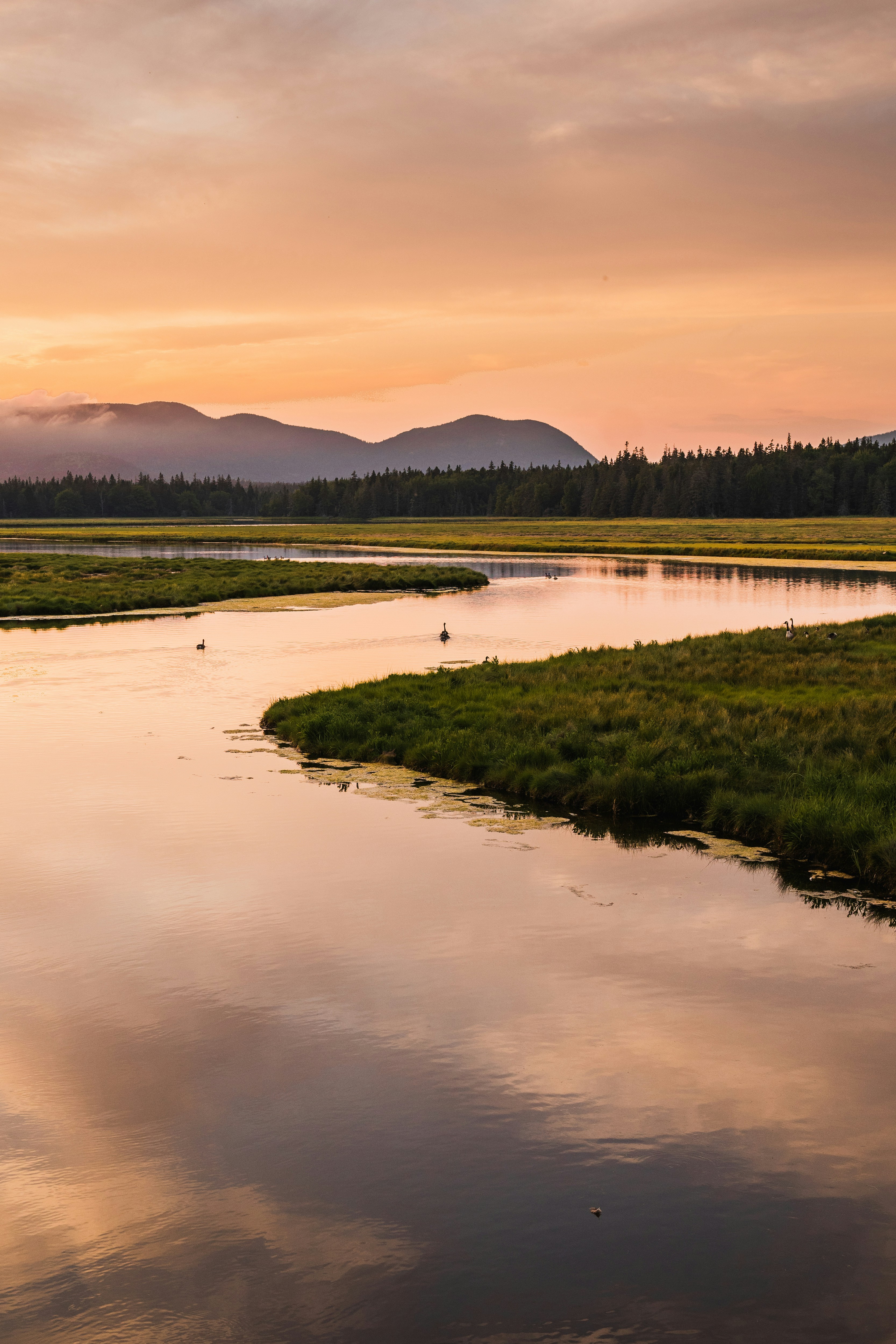 photo by Toan Chu via unsplash.com