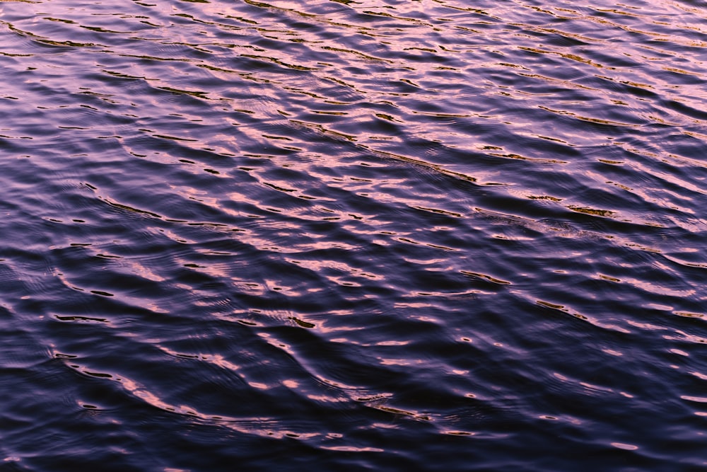 a body of water with ripples