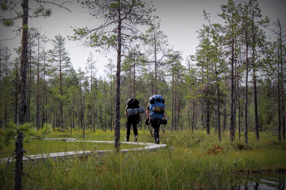 Una coppia di persone che camminano in una foresta