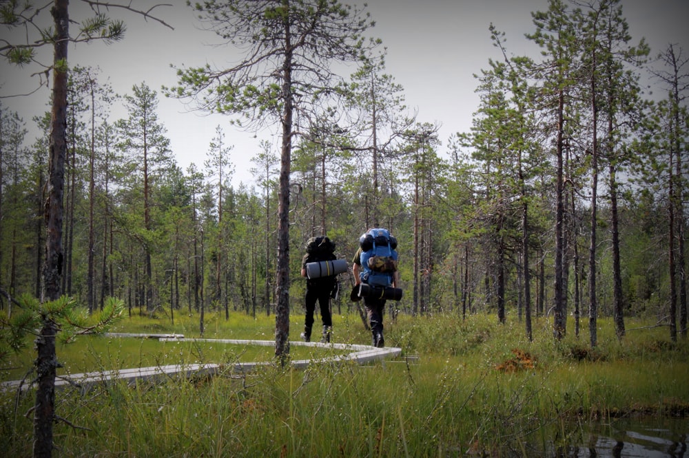 a couple people walking in a forest