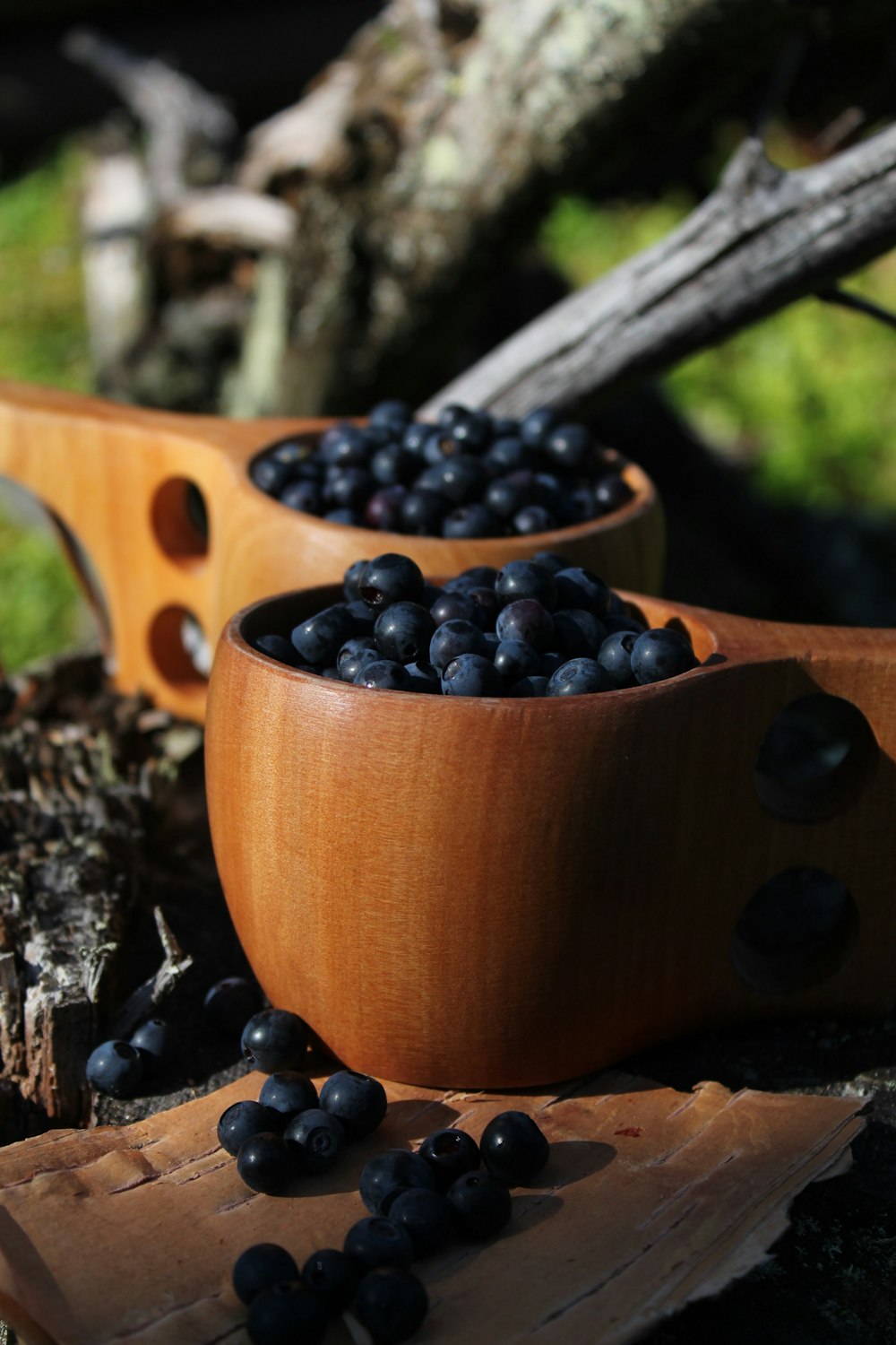 a bowl of blueberries