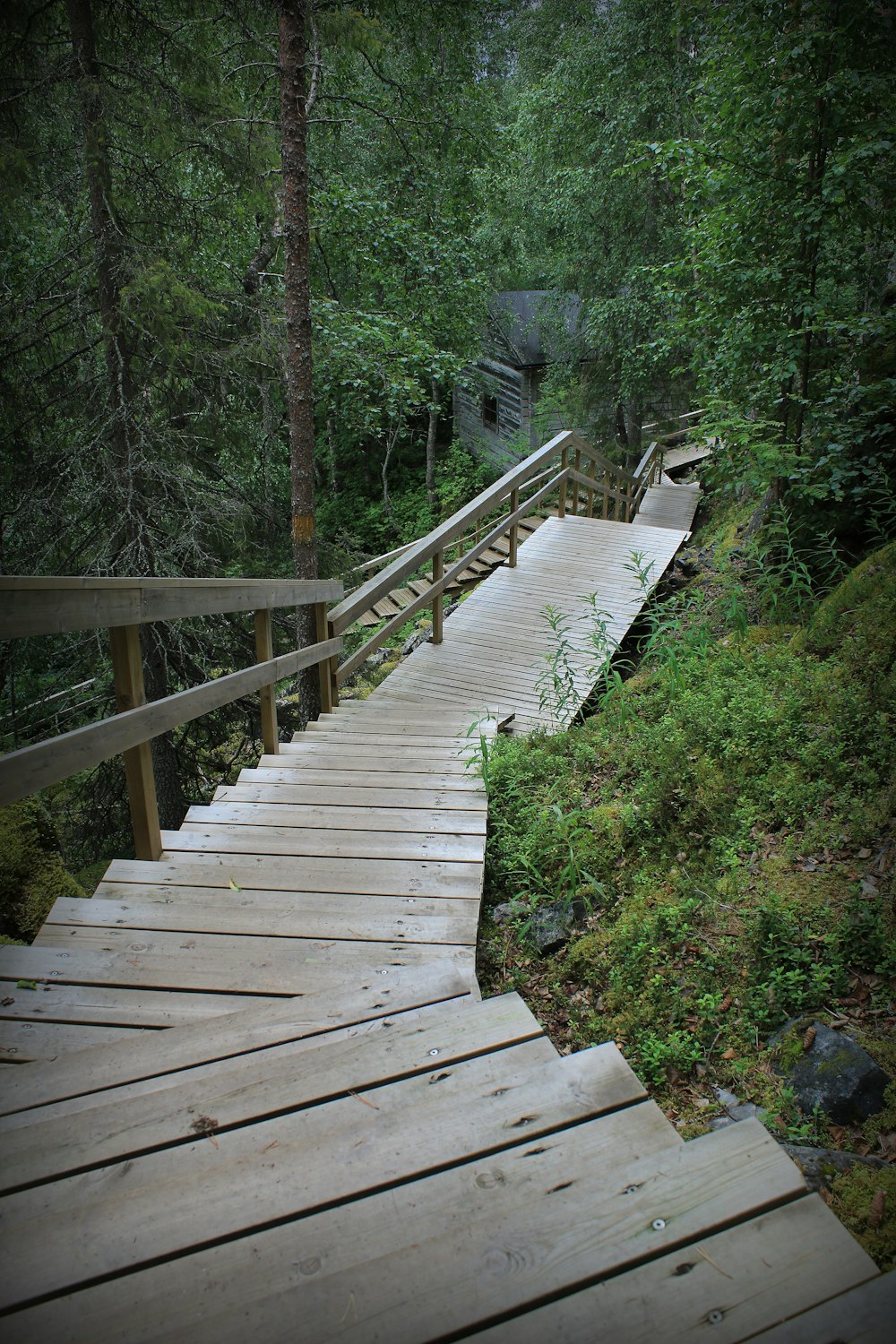 a wooden bridge in the woods