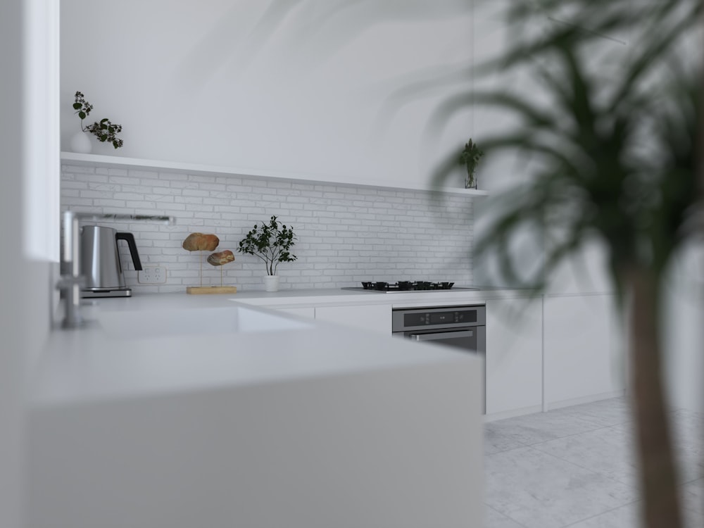 a kitchen with a palm tree