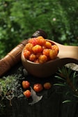 a bowl of cloudberries