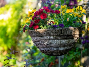 a bird bath with flowers in the background