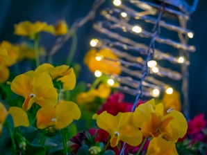 Close-up of vibrant lighting and floral decorations at an event.