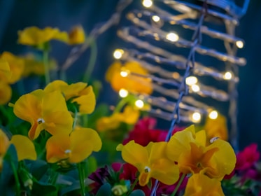 Close-up of vibrant lighting and floral decorations at an event.