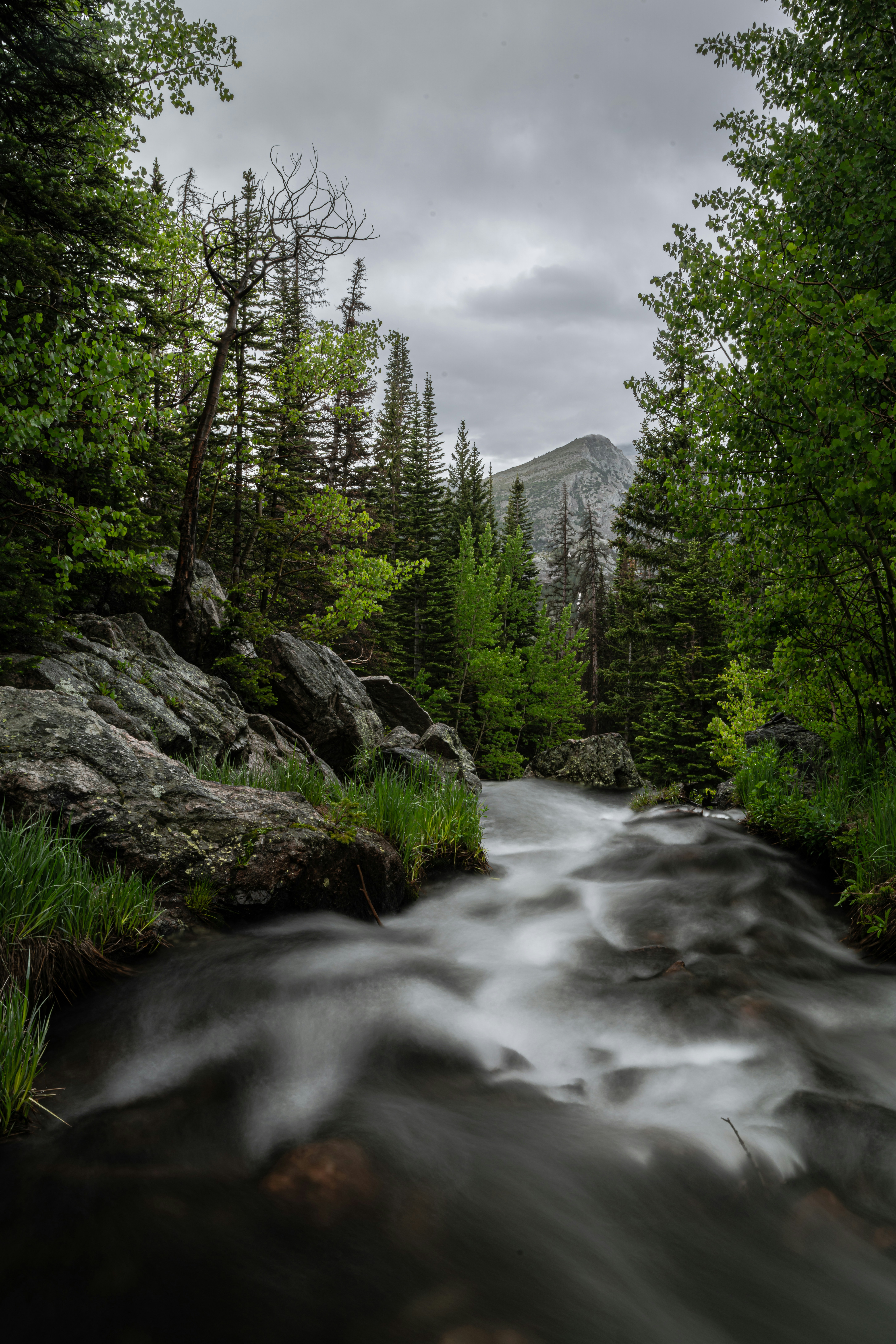 Photo by joshmccausland