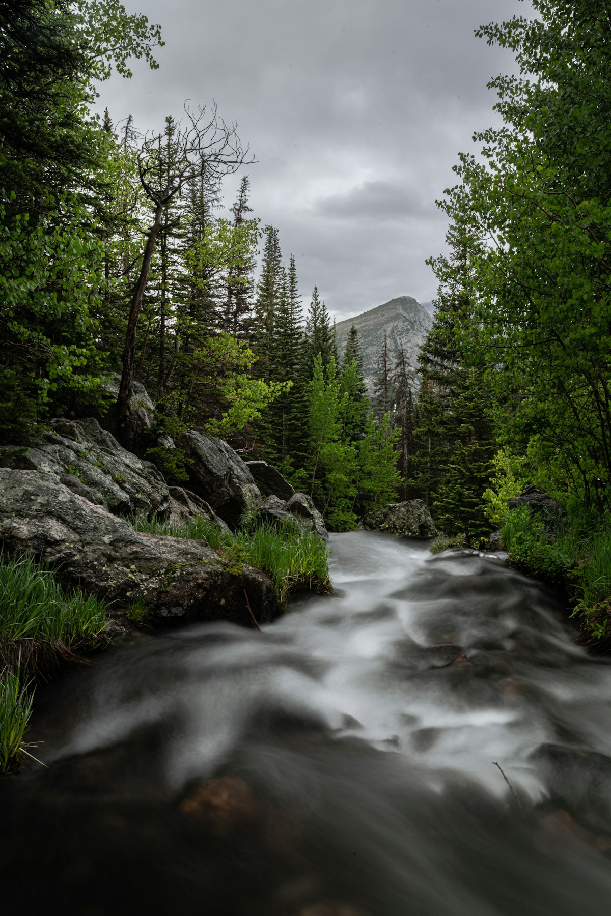 Pocket water breaking around granite boulders on a Colorado mountain stream — the seams and cushions where trout hold