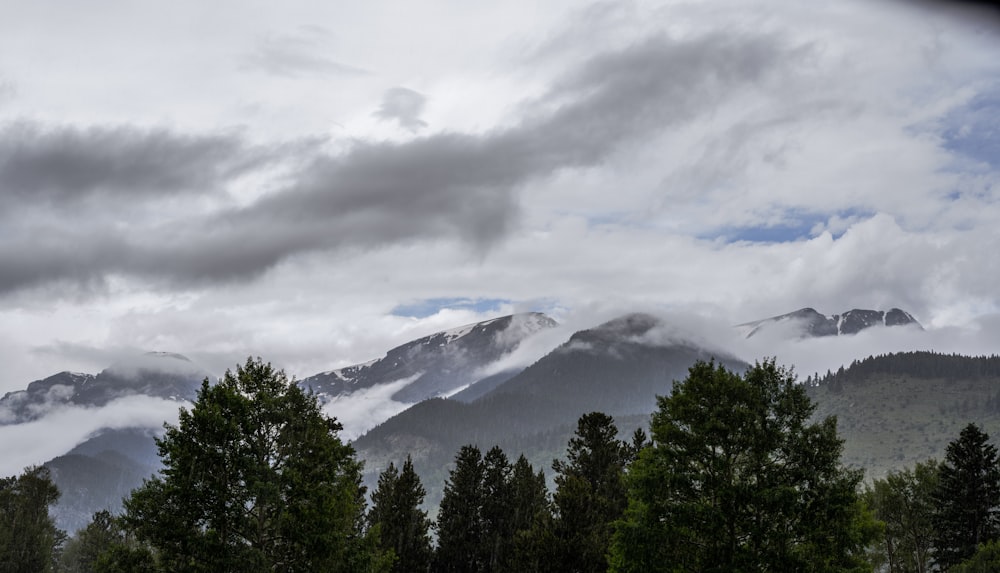 a mountain with trees and clouds