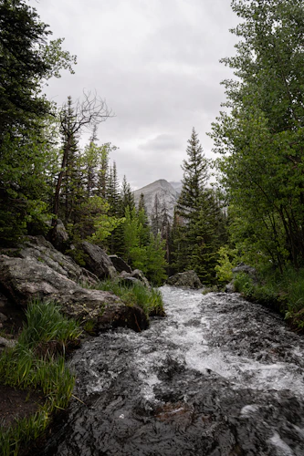 Rocky river flowing through boulders and pine forest — Eleven Mile Canyon, Colorado