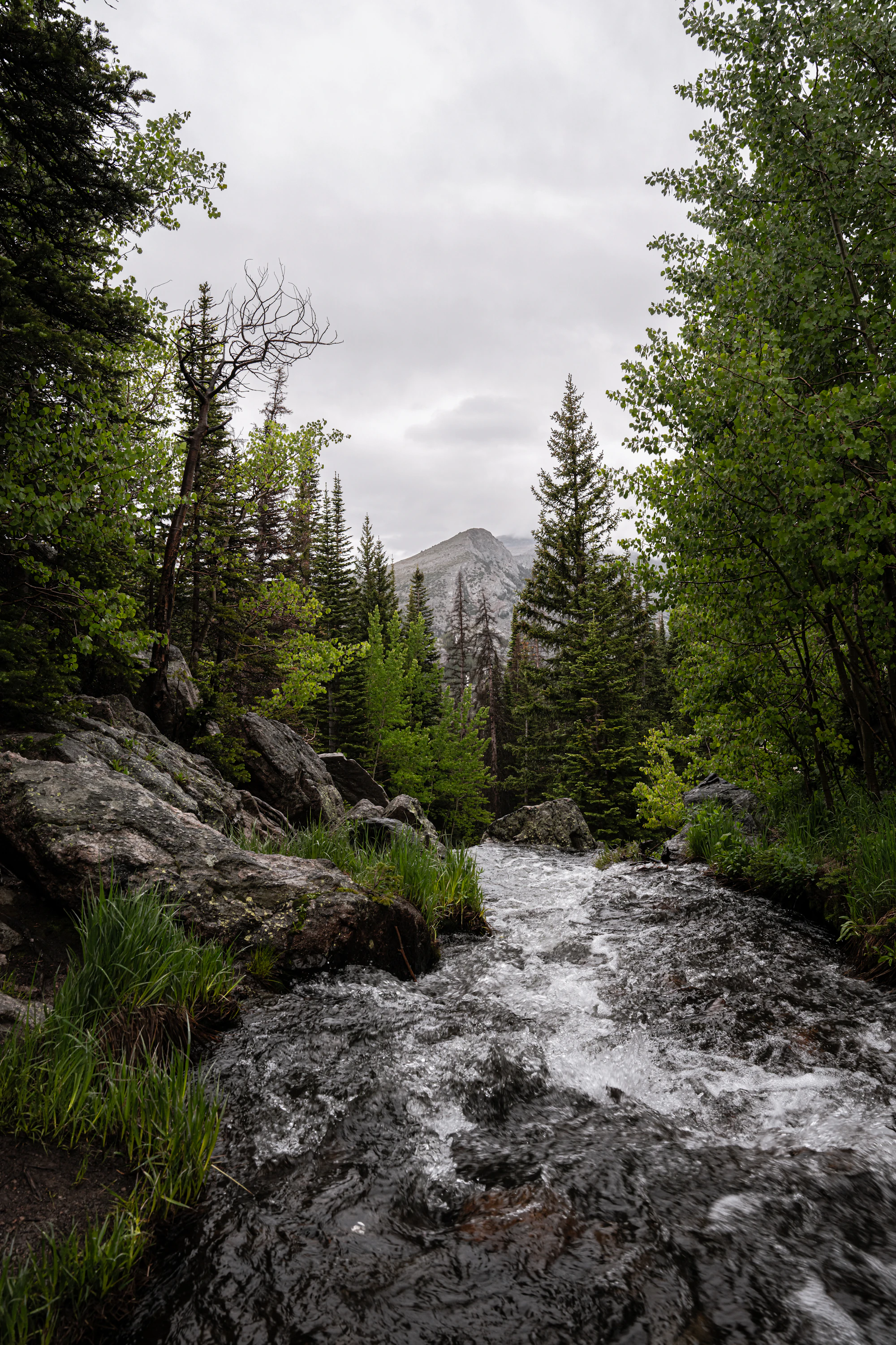 Wild Colorado backcountry — where Wapiti Ridge sets scouted wall-tent drop camps