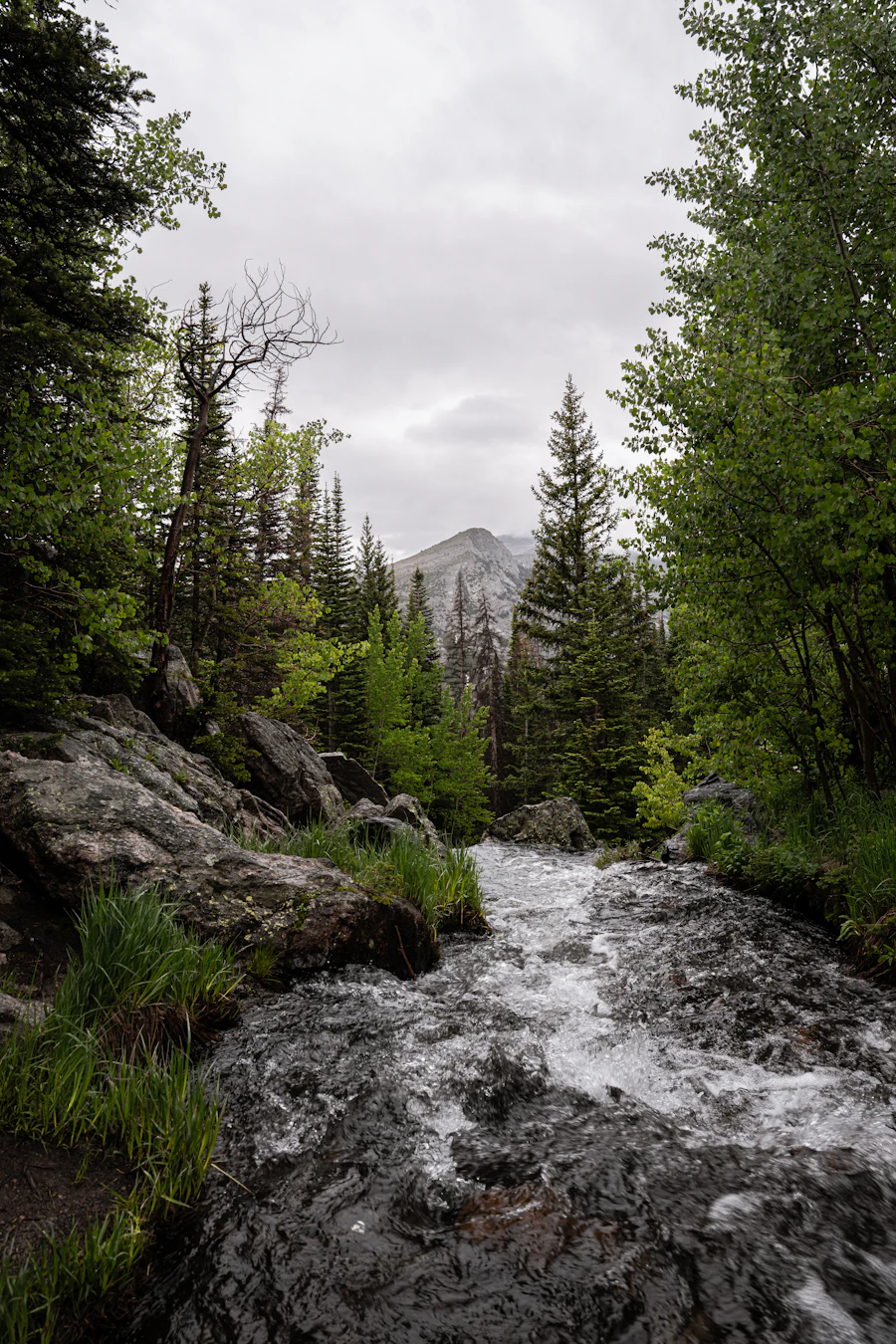 A wild high-country creek