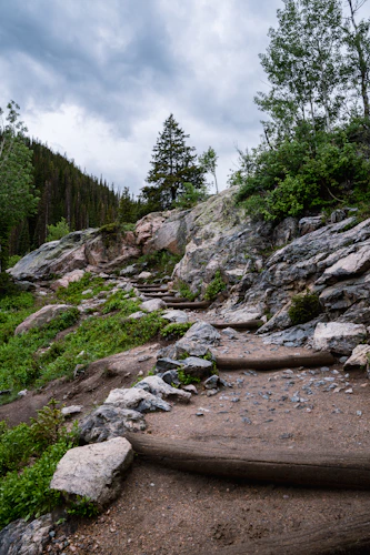 Rocky river bed with boulders in rain, pine forest lining the banks — RMNP, Colorado