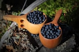 Two wooden cups filled with ripe blueberries are placed on a rustic tree stump surrounded by natural foliage. The cups have handles with rounded holes, showcasing a handcrafted design.