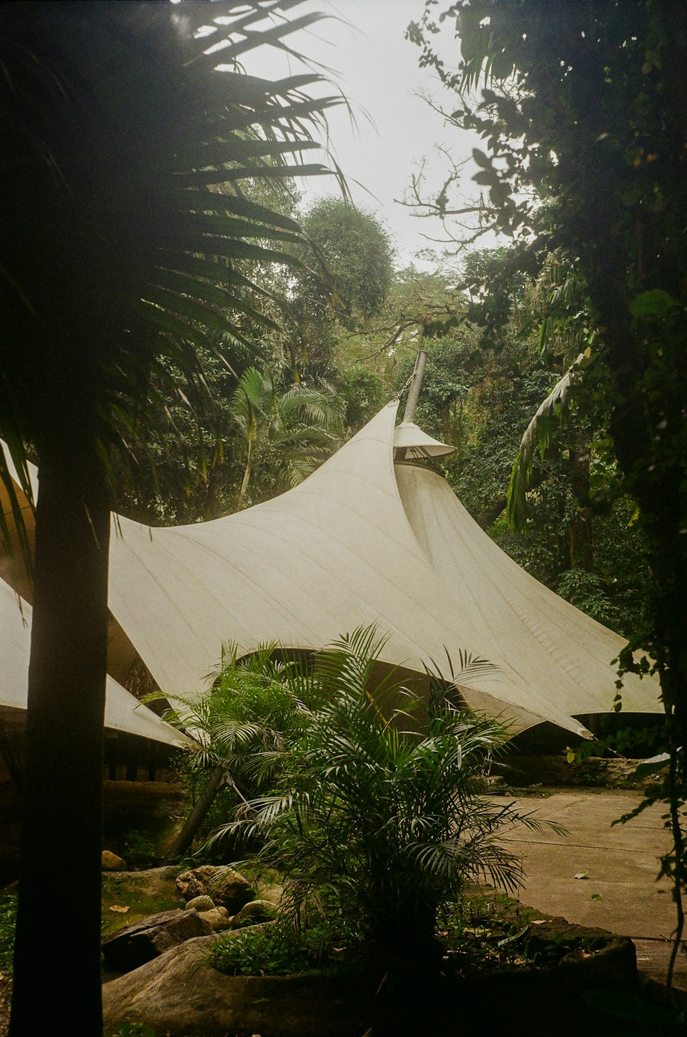 森の中の白いテント