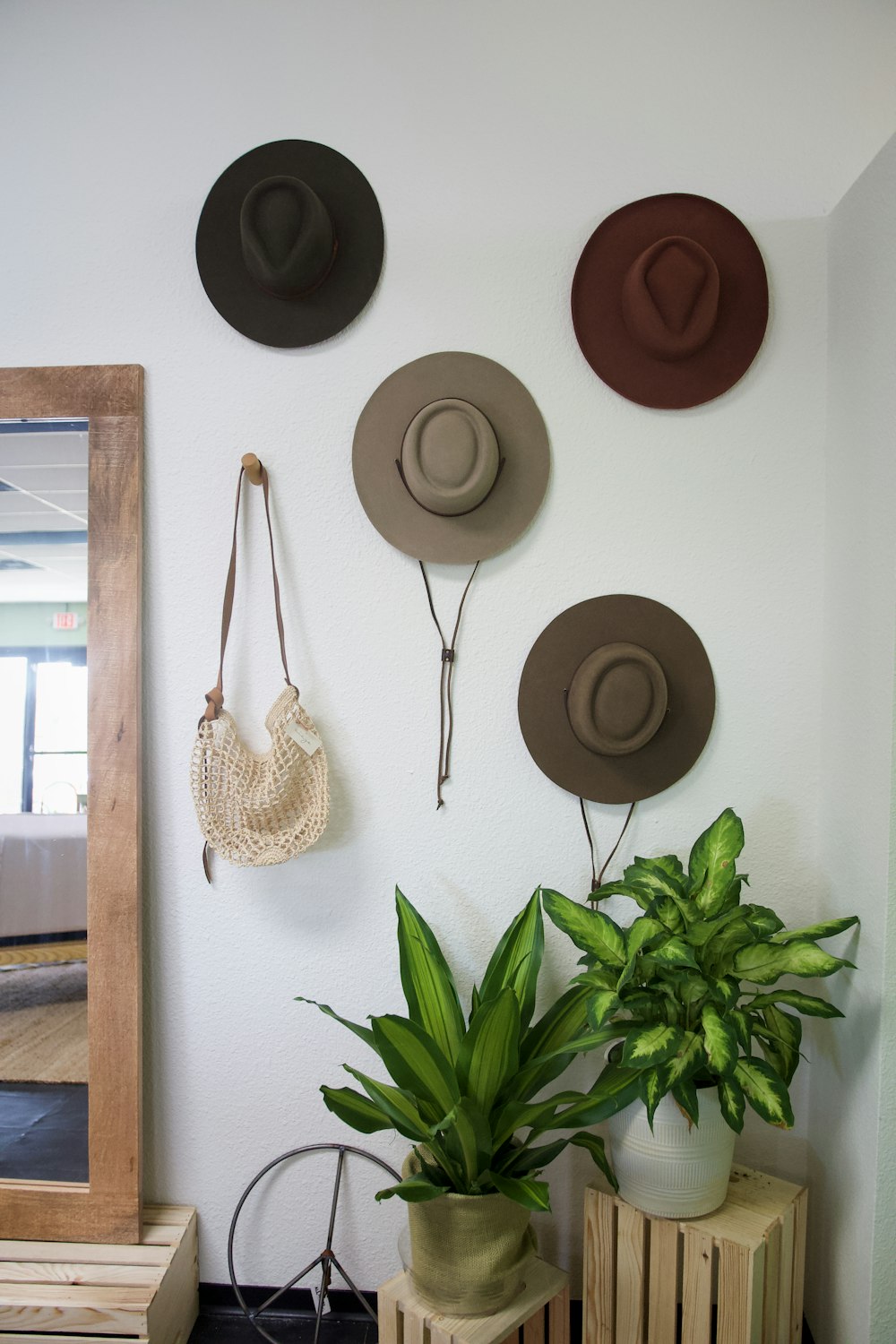 a wall with hats and plants