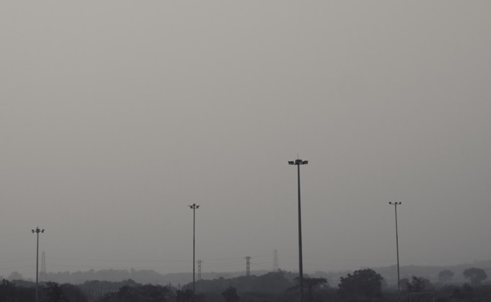 a group of street lights