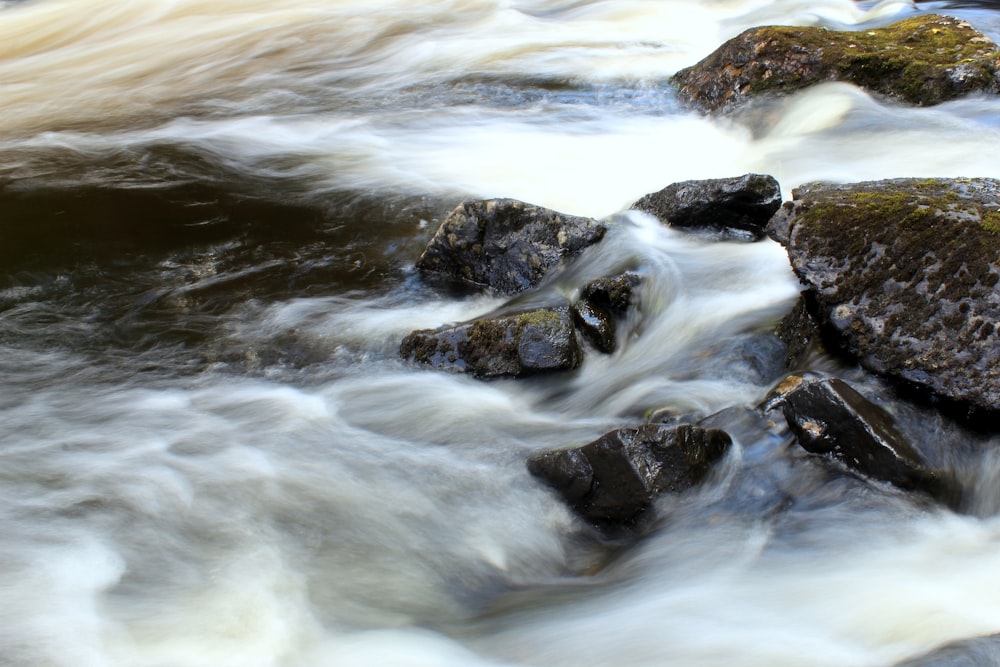 a river with rocks