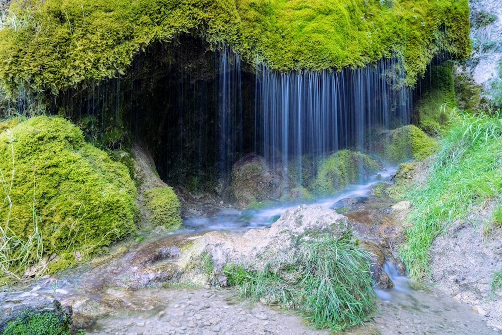 Una cascada en un bosque