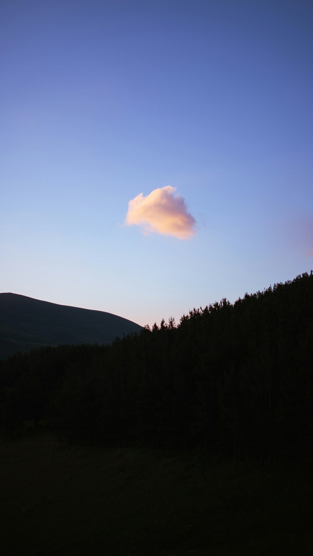 a landscape with trees and a cloudy sky