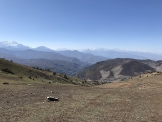 Wide open mountain landscape under a clear sky