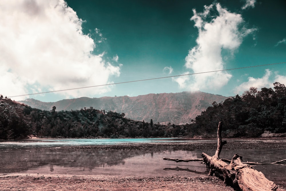 a lake with trees and mountains in the background