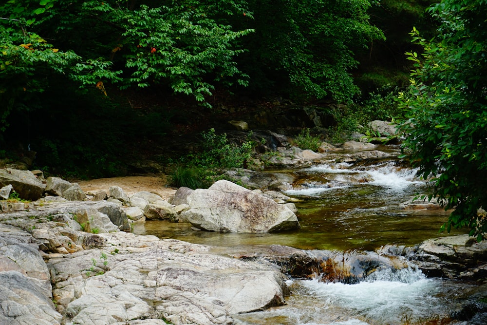 a river with rocks and trees