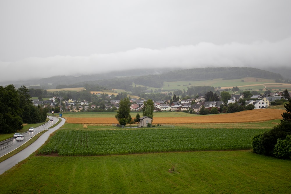 a road with grass and trees by a town