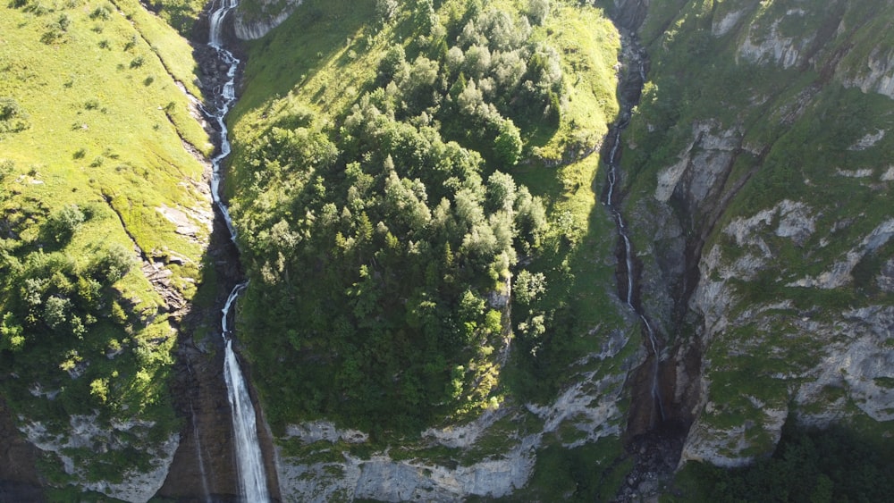 a river flowing through a forest