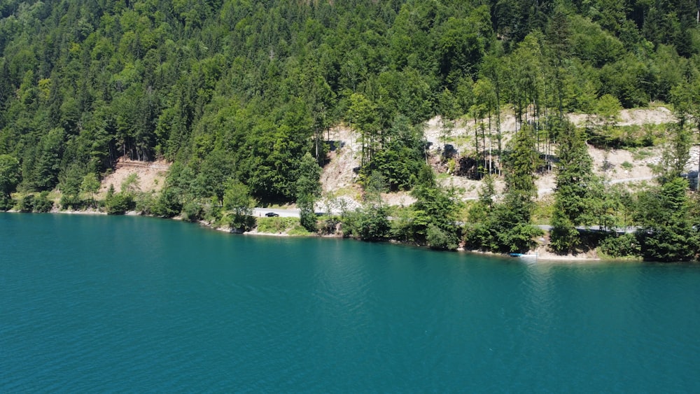 a body of water with trees and a building in the background