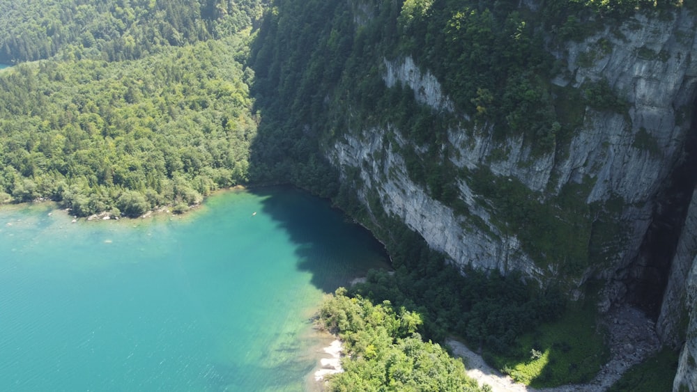 a body of water surrounded by trees