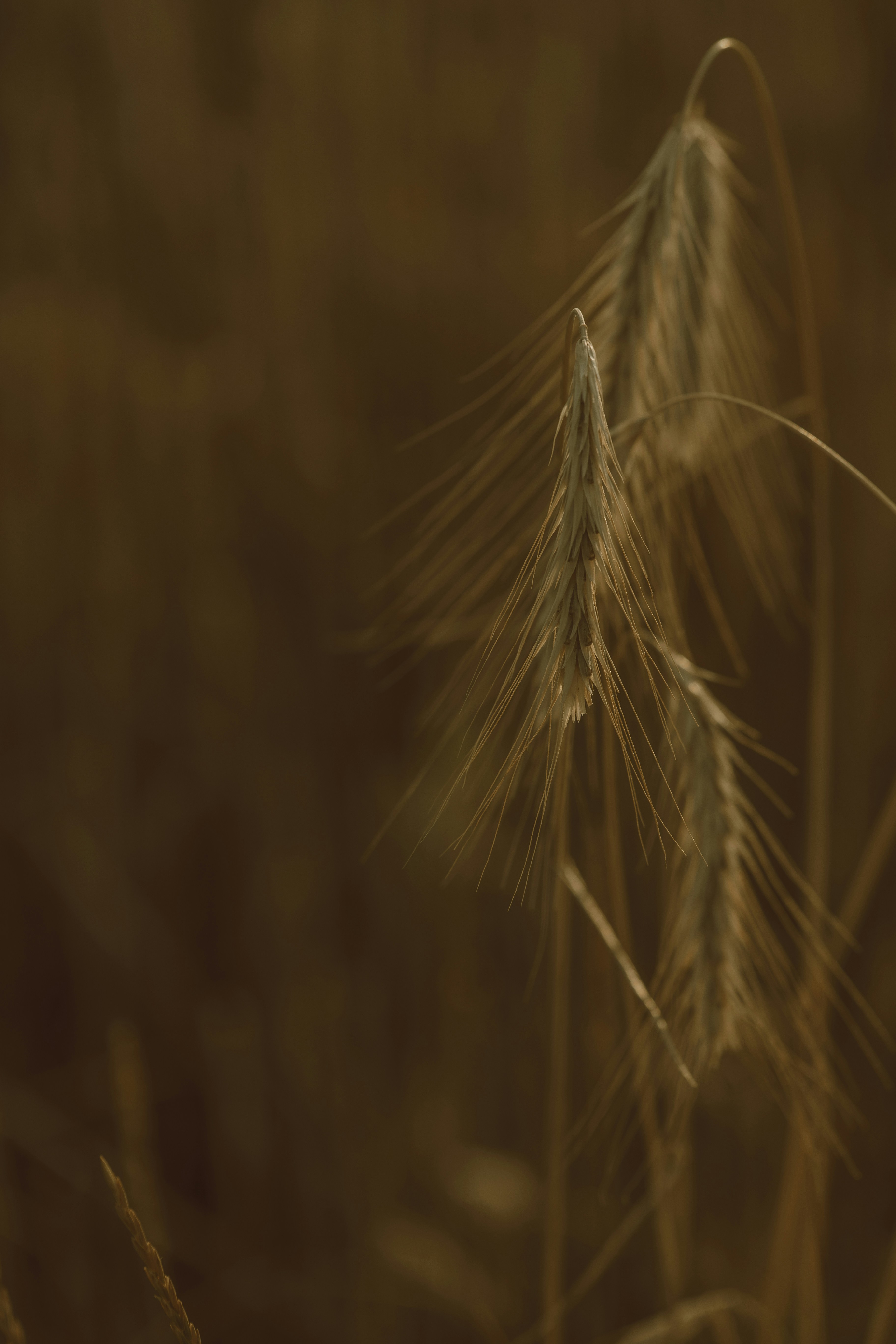 Photo by elisamoldovan