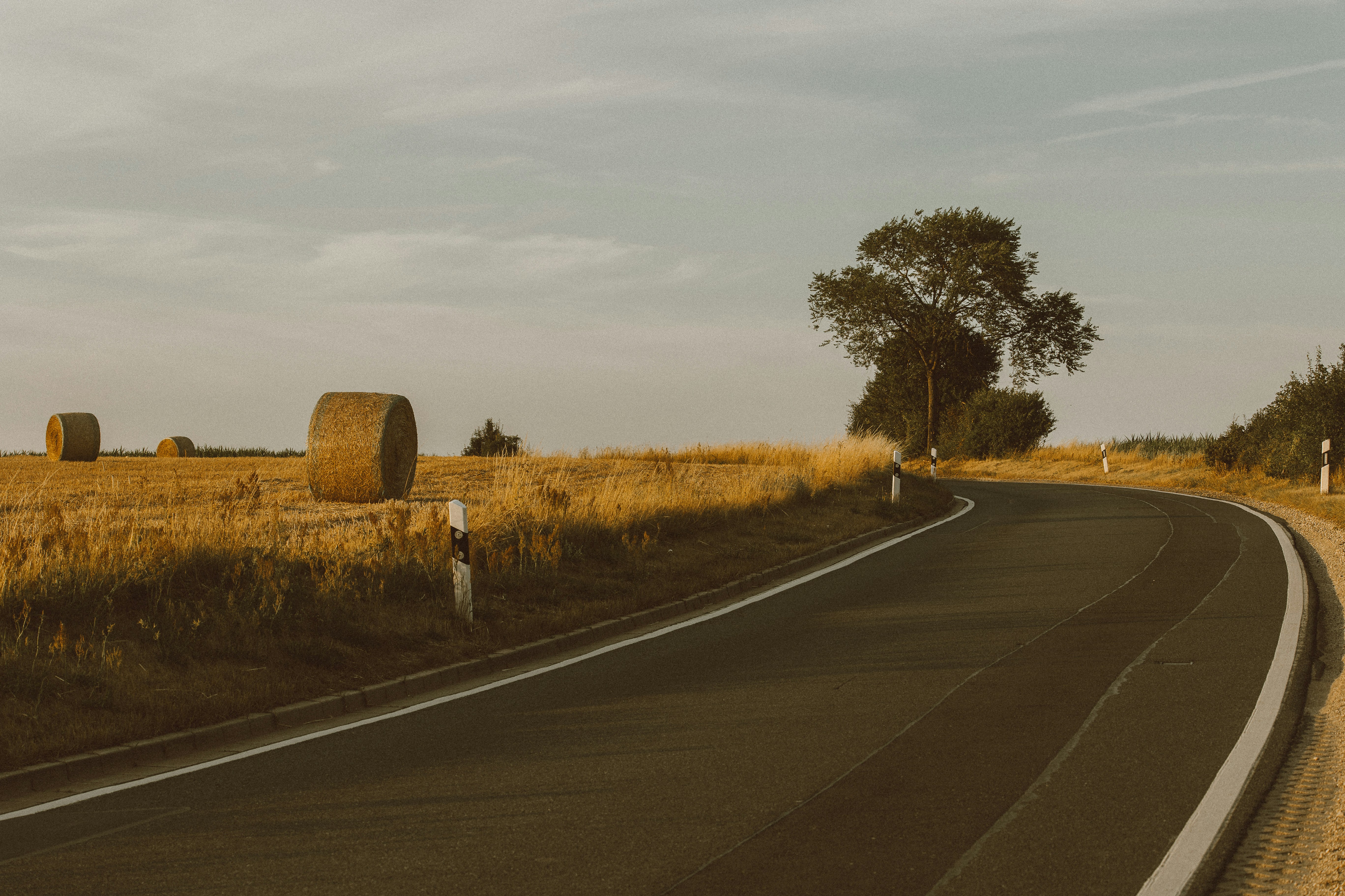 Photo by elisamoldovan