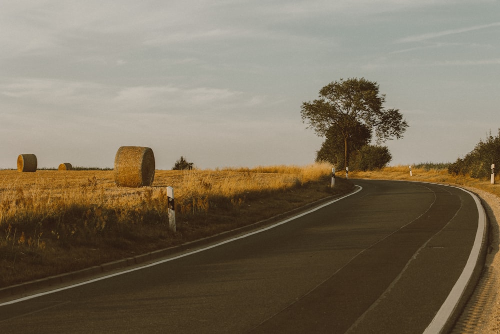 a road with a tree on the side