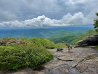 A scenic outdoor shot of a dog and owner ready for adventure with travel gear packed.
