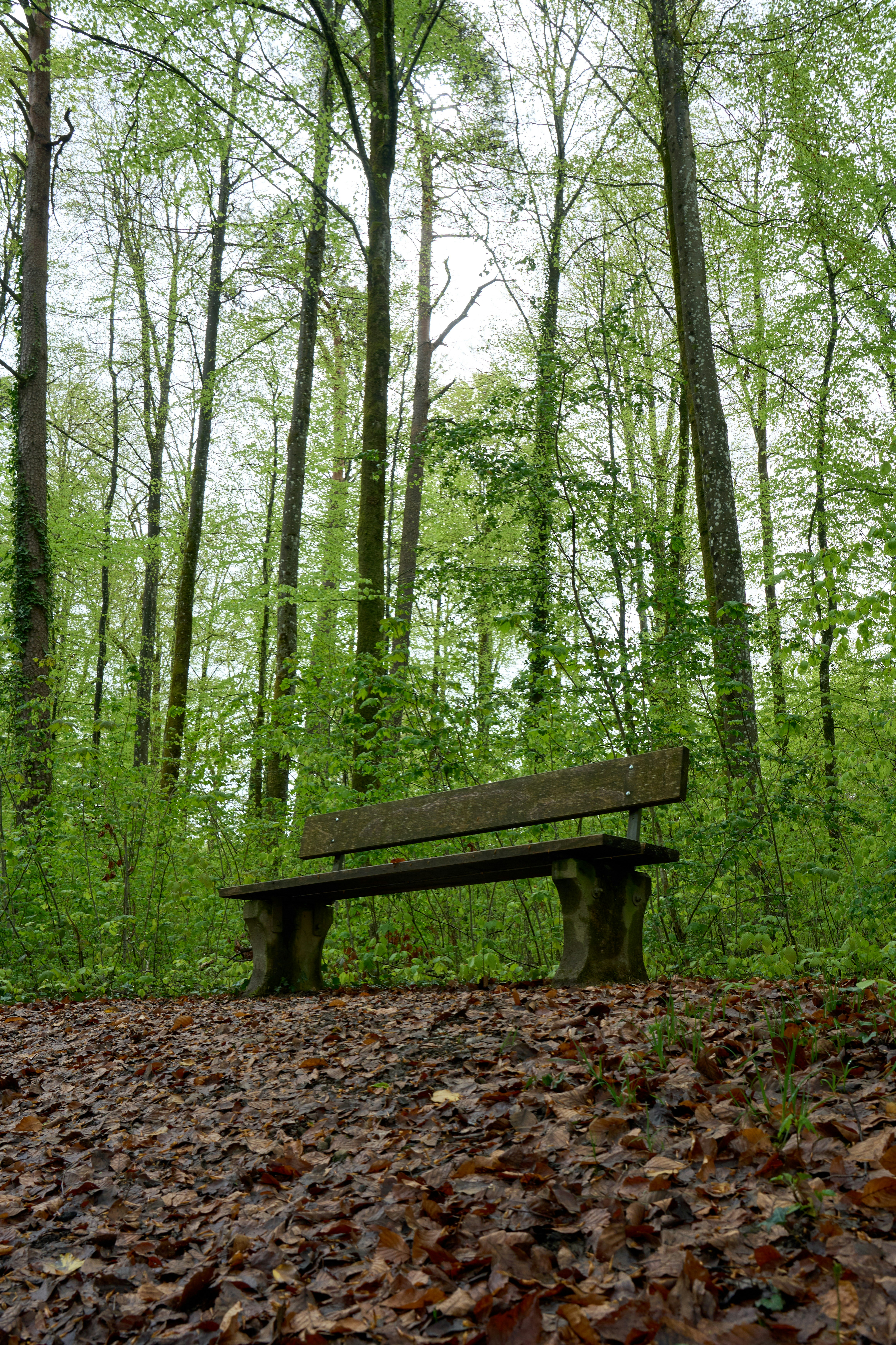 Photo by wolfgang_hasselmann