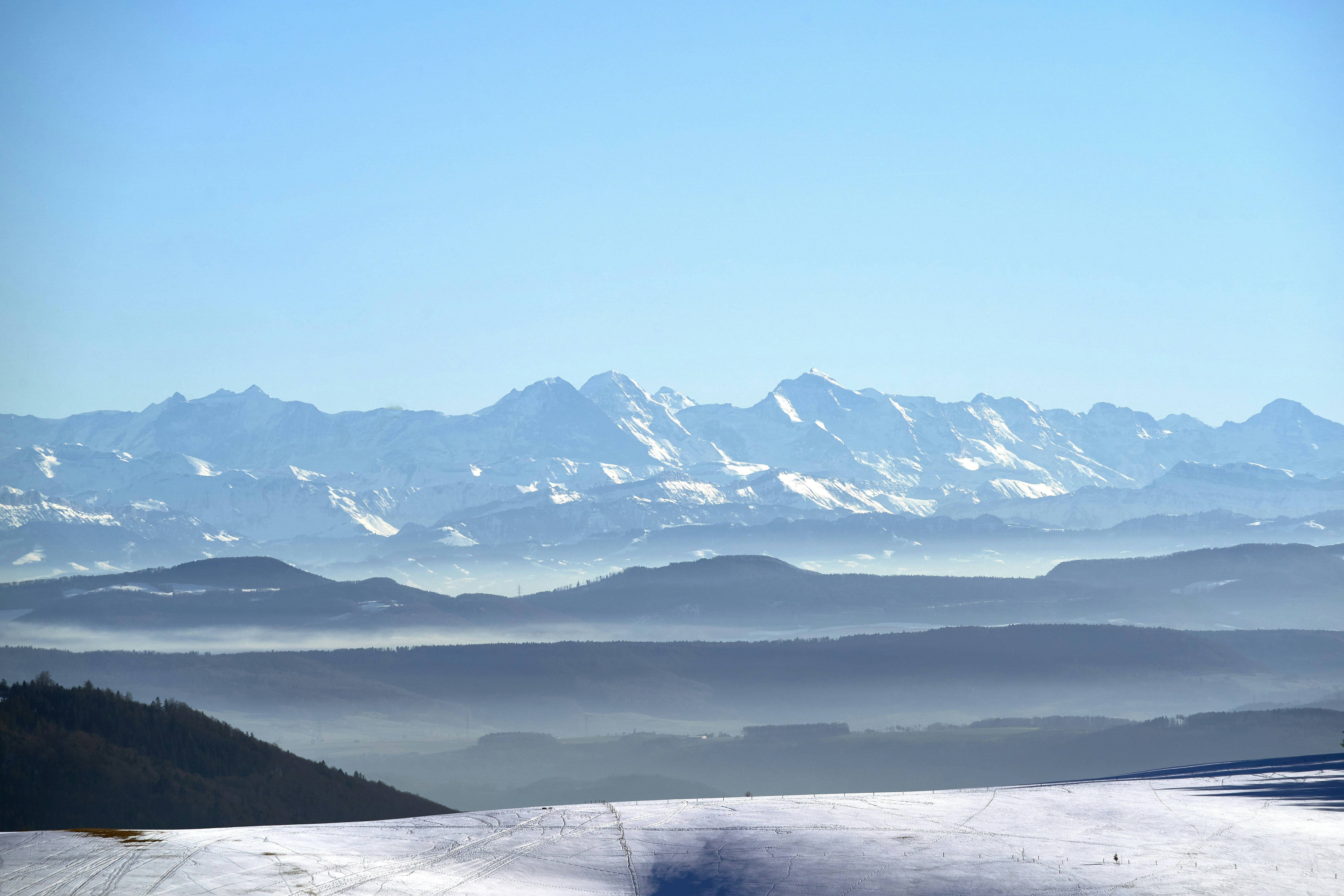 Photo by wolfgang_hasselmann