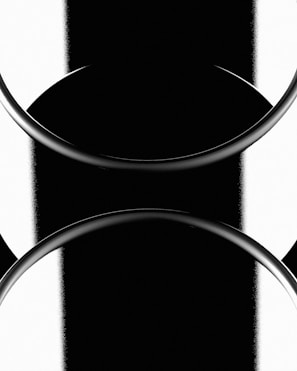 Monochrome abstract design featuring circular shapes and contrasting black and white bands, creating a balanced, symmetrical appearance with smooth curves and edges.