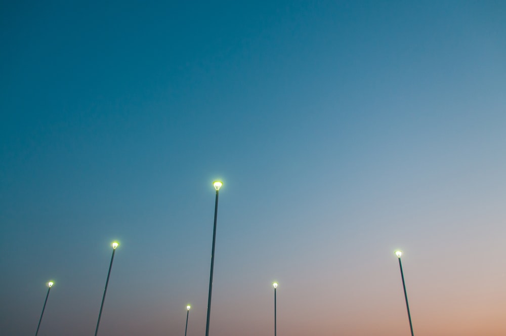 a group of street lights