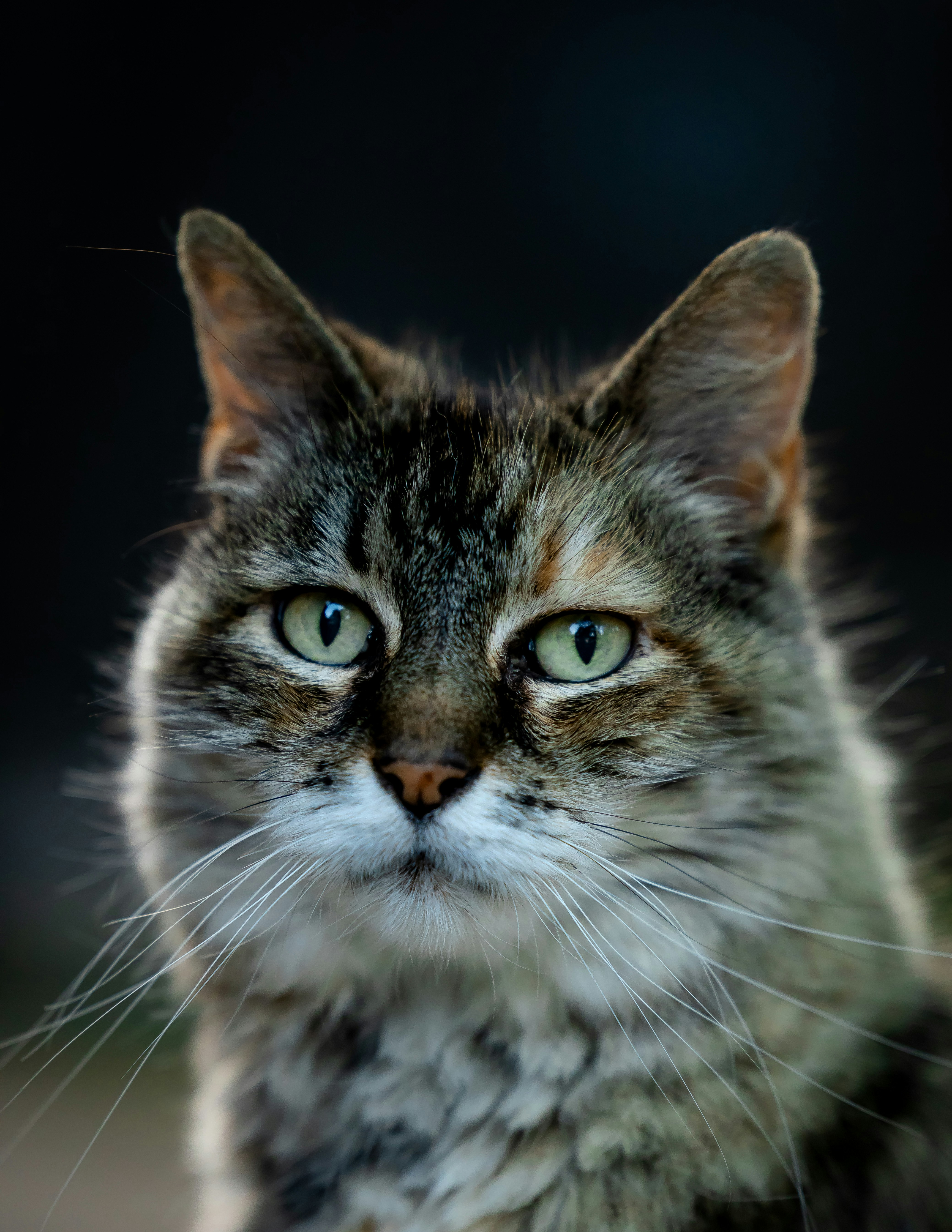 Photo by alexriverafilms