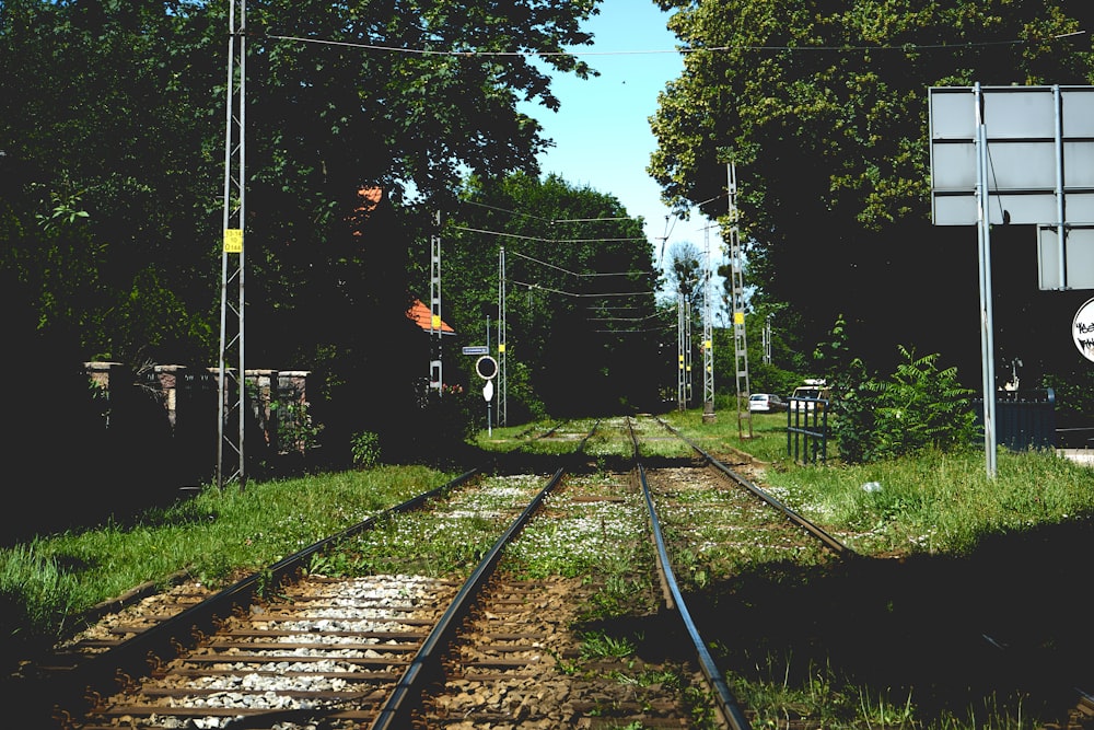 train tracks in a park