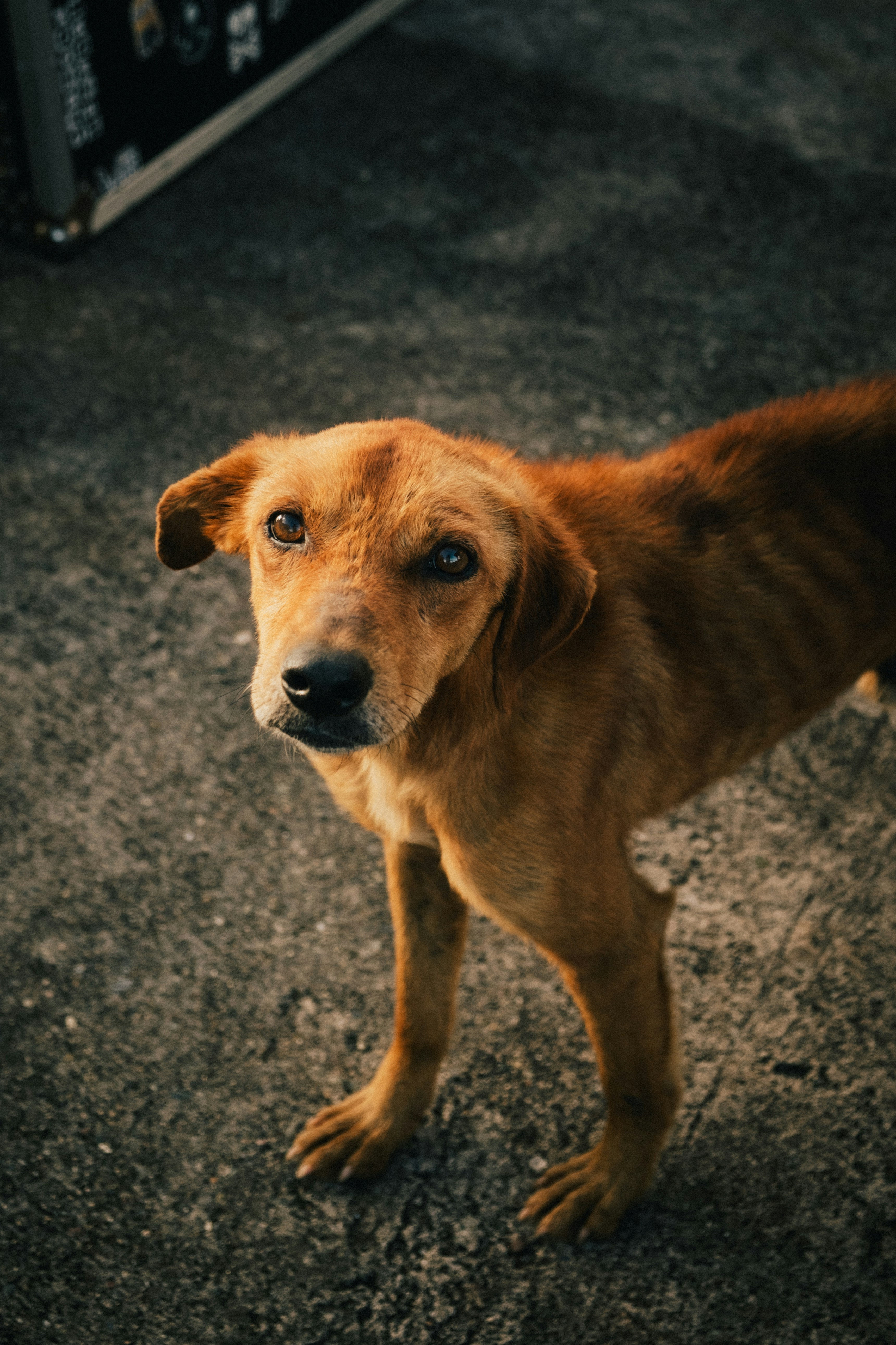 Photo by 17allansfilms