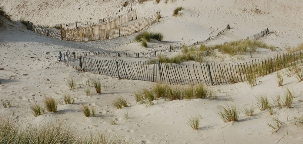 a fence in a sandy area