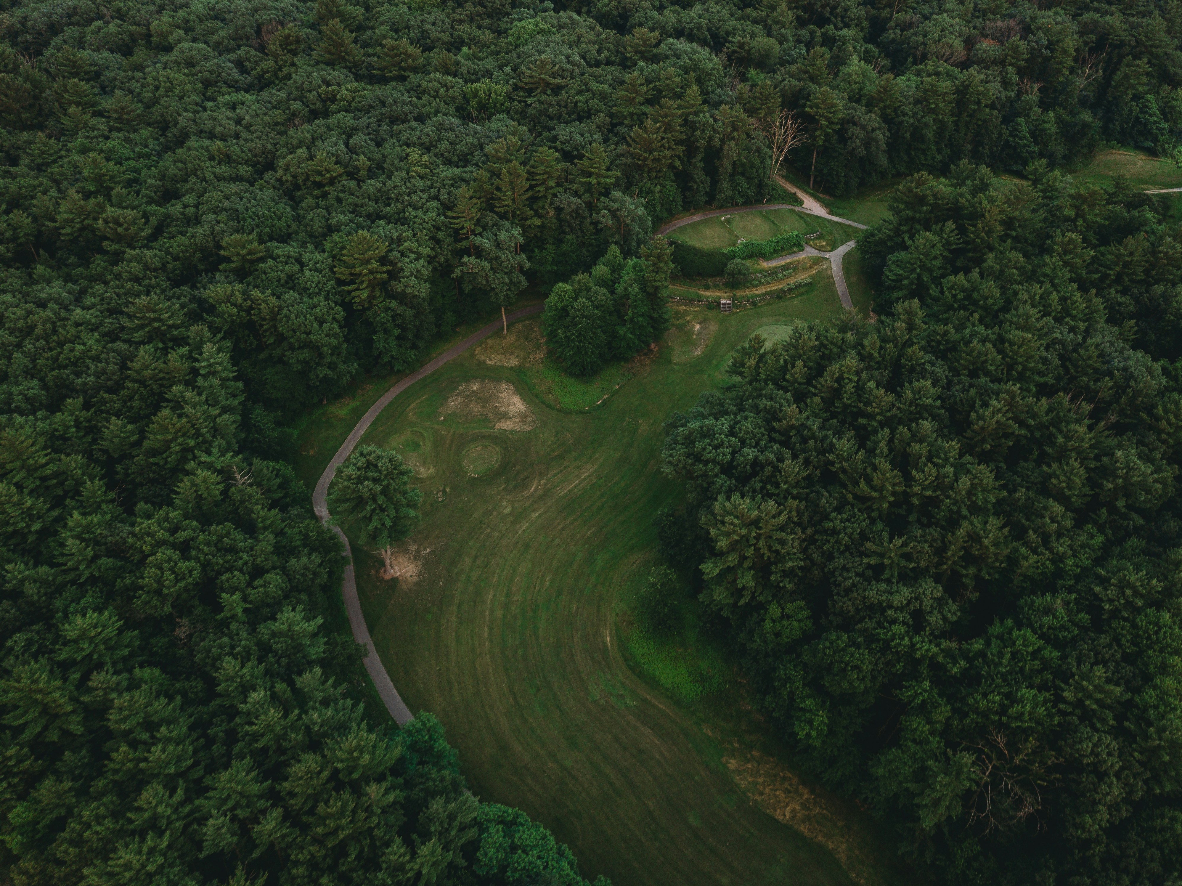 Photo by stevenvanelk