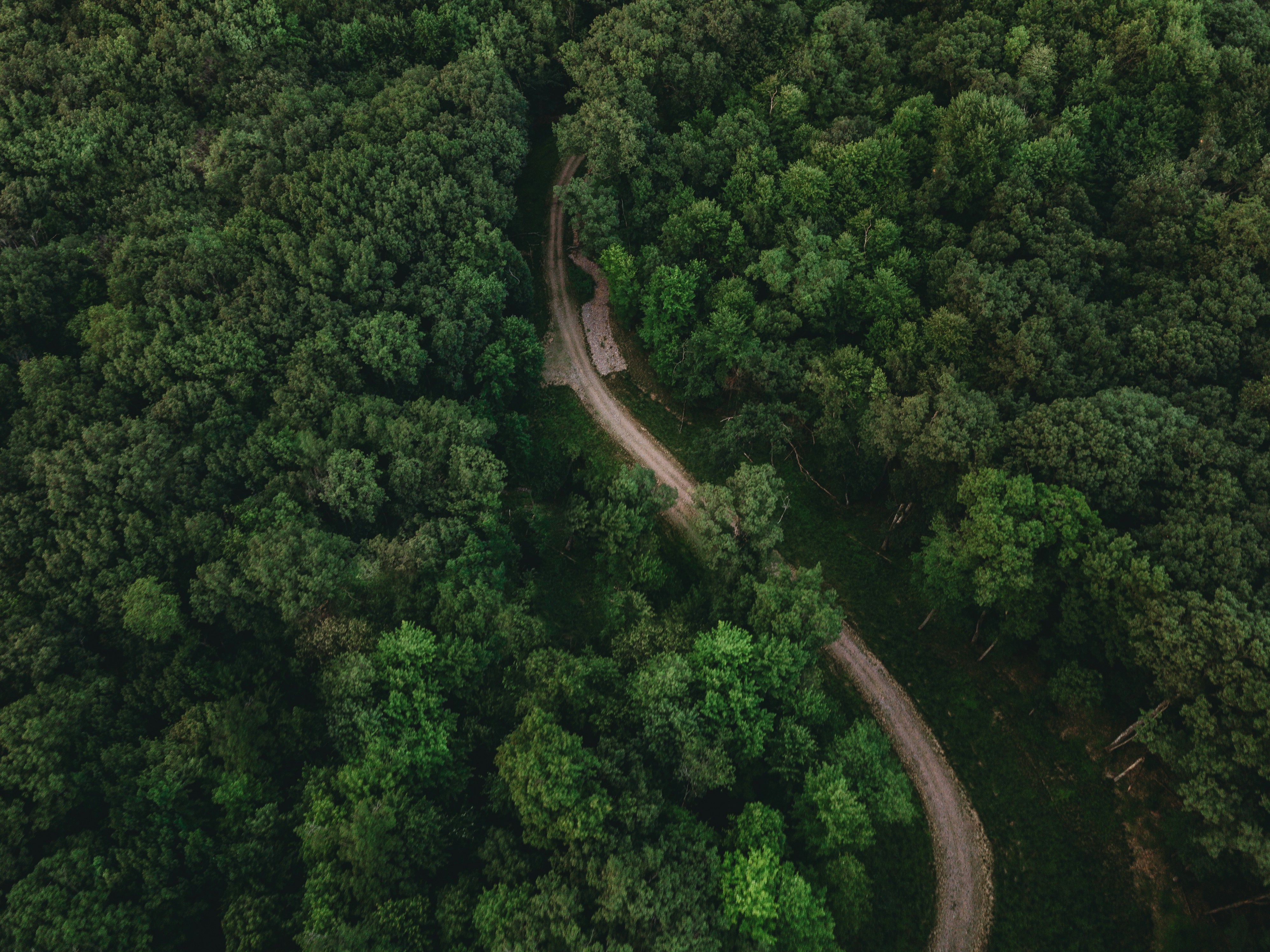 Photo by stevenvanelk