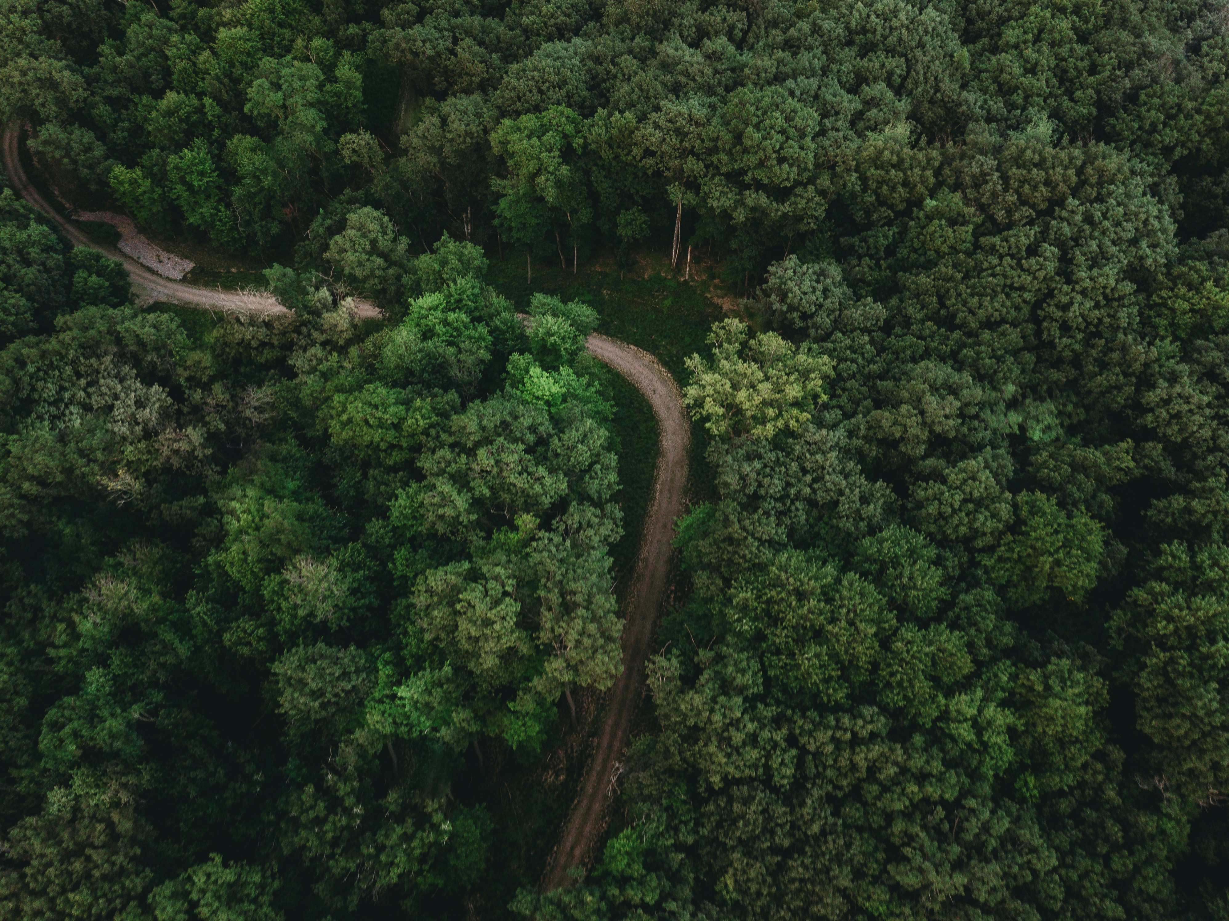 Photo by stevenvanelk